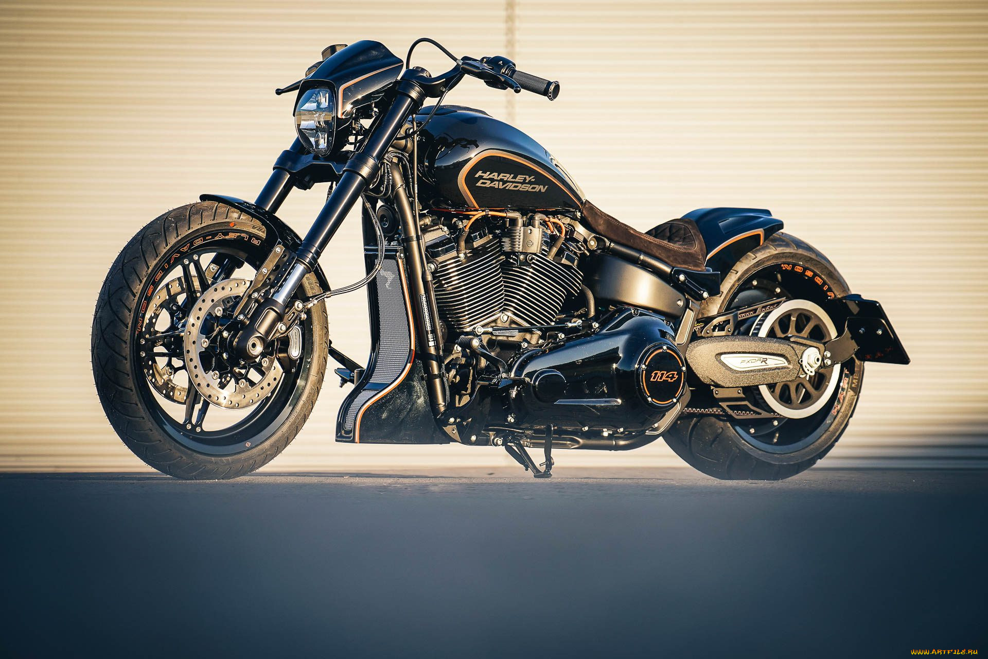 , , harley-davidson, , , , thunderbike, customs